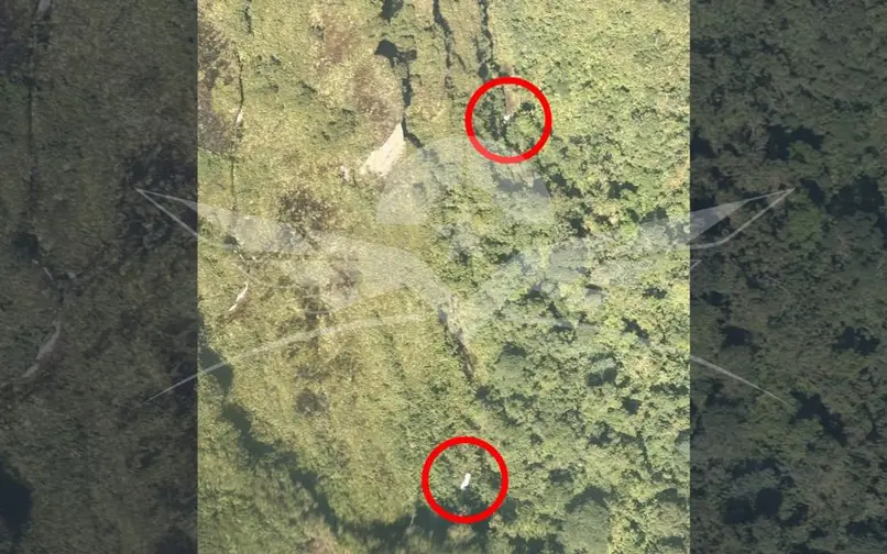 Autoridades localizan aeronave desaparecida en zona de alta montaña entre Risaralda y Chocó