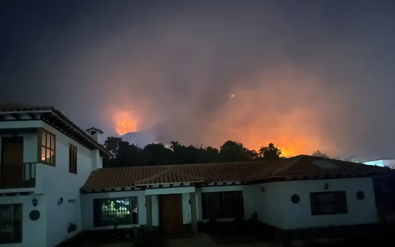 Villa Leyva llamas