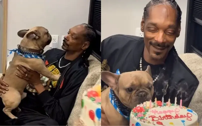 Snoop Dogg celebró los 13 años de su perro