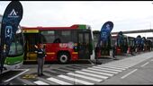 Nuevos buses TM