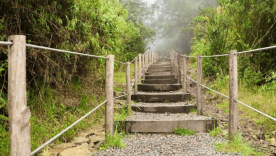 Camino a Monserrate Cerros Orientales