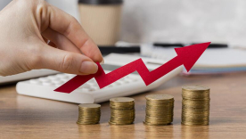 Crecimiento económico25