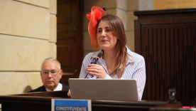 iris defensora pueblo