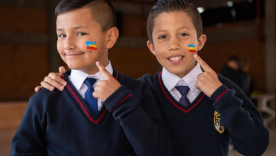 Menores Cundinamarca