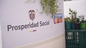 Prosperidad Social