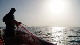 Pescador artesanal colombiano