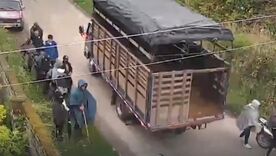 Presunta invasión violenta de varias fincas dedicadas a la producción lechera 