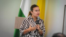María José Navarro
