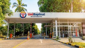 Uniespinal