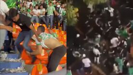 Hinchas verdes