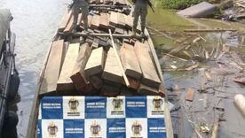 incautan madera ilegal en chocó