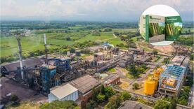 Planta de Propal en Guachené, Cauca