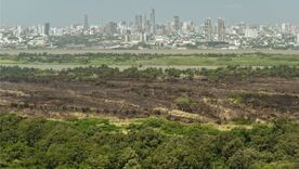 Controlan incendio forestal en el Vía Parque Isla de Salamanca 
