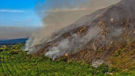 incendios forestales en Tolima