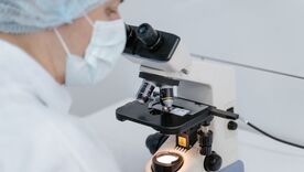 Investigación en salud