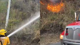 Incendio forestal en el cerro de Cristo Rey en Cali