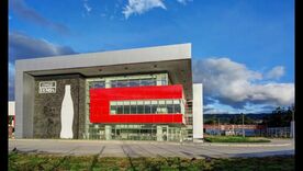 Coca Cola planta