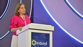 Ministra de Minas y Energía, María Nohemí Arboleda
