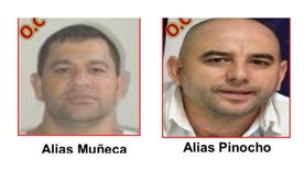 Alias 'Muñeca' y alias 'Pinocho' de las ACSN