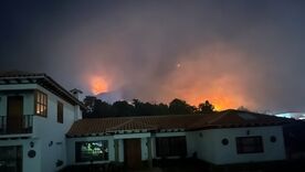 Villa Leyva llamas