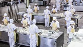 Alimentos ganancias empresas