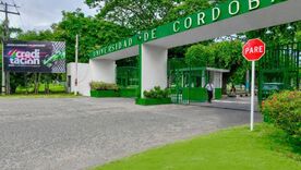 Presidente De la Espriella pidió a Fiscalía priorizar denuncias por corrupción en Universidad de Córdoba