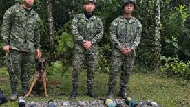 Ejército frustra atentado en Cajibío, Cauca: destruyó depósito con 33 explosivos atribuidos a 'Mordisco'