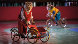 CRUELDAD CIRCOS