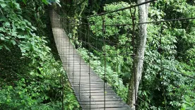 Puente colgante que colapsó en la vereda El Carmen de Villavicencio