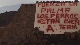 Perros atrapados en medio de la lava del volcán Las Palmas desaparecieron