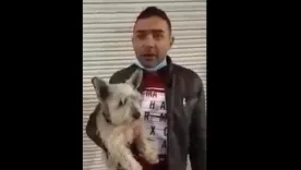 Disculpas del hombre que golpeó con patadas a un perro en Pasto