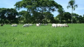 Córdoba Colombia