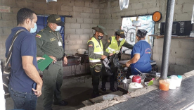 Cierran dos restaurantes por comercializar carne de tortugas marinas