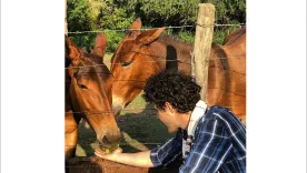 Colombiano pide ayuda para evitar sacrificio de sus animales en Argentina