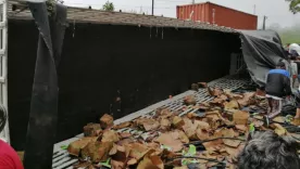 Antioquia: Saquean camión de encomiendas que se volcó en la vía