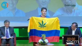 Luis Perez marihuana