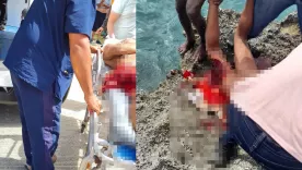 Turista italiano murió tras ser atacado por tiburón en San Andrés