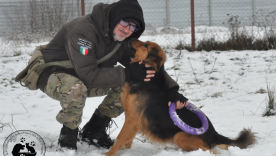 Los refugios de animales en medio de la guerra en Kiev