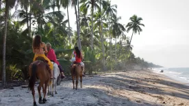 Caballos al Parque Tayrona