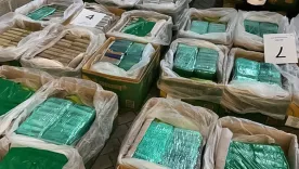 Confiscan más de media tonelada de cocaína camuflada en bananos