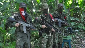 Guerrilla Eln