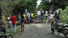 Urabá y Occidente de Antioquia por bloqueos se enfrentan a escasez de alimentos por bloqueos