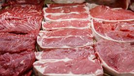 Procuraduría abre investigación por posible suministro de carne de caballo en raciones del PAE