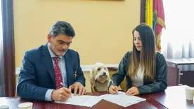 Esterilización mascotas