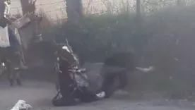 Denuncian maltrato animal en cabalgata en Cundinamarca