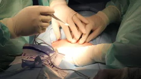 Cirugía 31 enero 