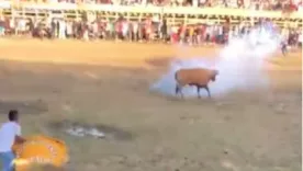 Toros fueron atacados con pólvora en corralejas de Necoclí, Antioquia 