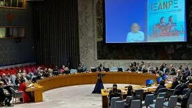 Consejo de Seguridad de Naciones Unidas