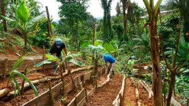 Familias trabajadoras