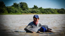 Rescate delfines